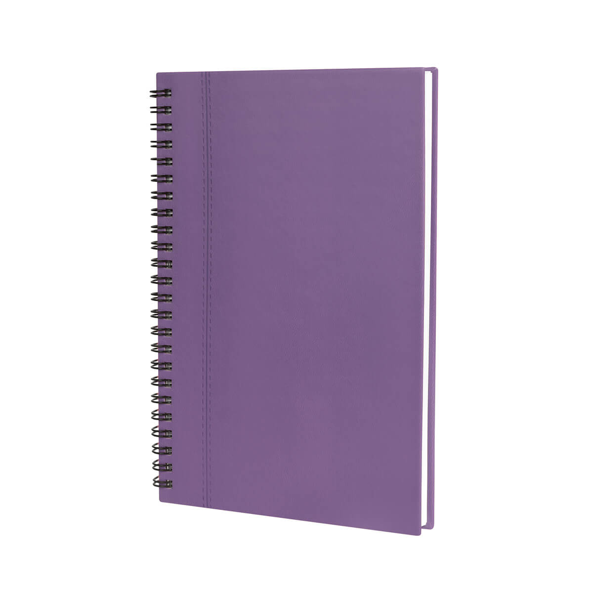 KIT THE AMETHYST AGENDA